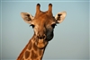 valleyforge64's avatar