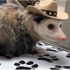 OhCrow_'s avatar
