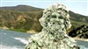 Tree007's avatar