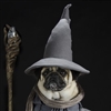 stassvar's avatar