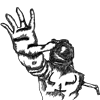 kiwi_clapped's avatar