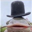 RiswynnUngart's avatar