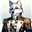 Erifus's avatar