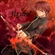 Yagami927's avatar