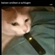 LilacJuvia's avatar