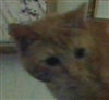 somebodywhoexists's avatar