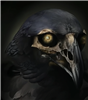 Alloutattack's avatar