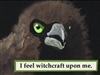 HelosTheEvasive's avatar