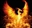 Phoenix1373's avatar