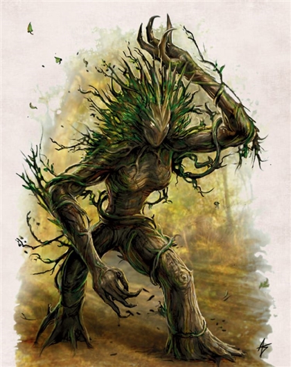Circle Of The Bough Image