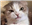 Mr_Jeorjica's avatar