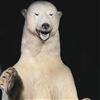 xxjellymoonxx's avatar