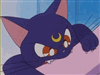 Zinren's avatar