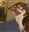 KingKozma's avatar