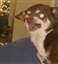KingKozma's avatar
