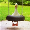 TheBestRandomGuy24974's avatar