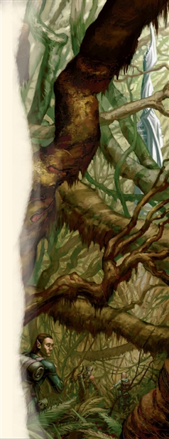 Wayfinder Image