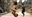The_Mon1ker_Project's avatar