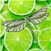 limedragonfly's avatar