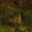 Voltarity's avatar