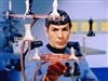 Spock's avatar