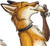 Noki_Redtail's avatar