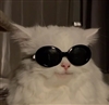 _usernameless_'s avatar