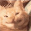 ManMugXB's avatar