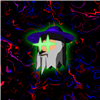 Ze1tar's avatar