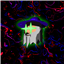 Ze1tar's avatar