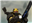 Dillwiid37's avatar