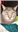 TsukiTheIdiot's avatar