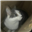 AAAxolotl12742's avatar