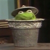 ScaryTree's avatar