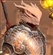 iMUZ86's avatar