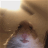CheddarAssassin's avatar
