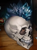 SCarr1388's avatar