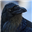 Korvinagor's avatar