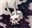 Gilthaxus_God_of_war_and_cheese's avatar