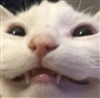DiscoGoblin333's avatar