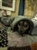 Cynthialeebussell's avatar