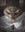 LordBob247's avatar
