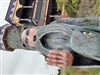 Crassian's avatar