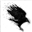 Murder_Krow's avatar