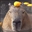 CantaloupeCapybara's avatar