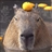 CantaloupeCapybara's avatar