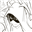 Moumouka's avatar