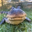 louisecab's avatar