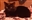 Generic_DnD_Player's avatar