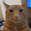 LETEMKNOW's avatar